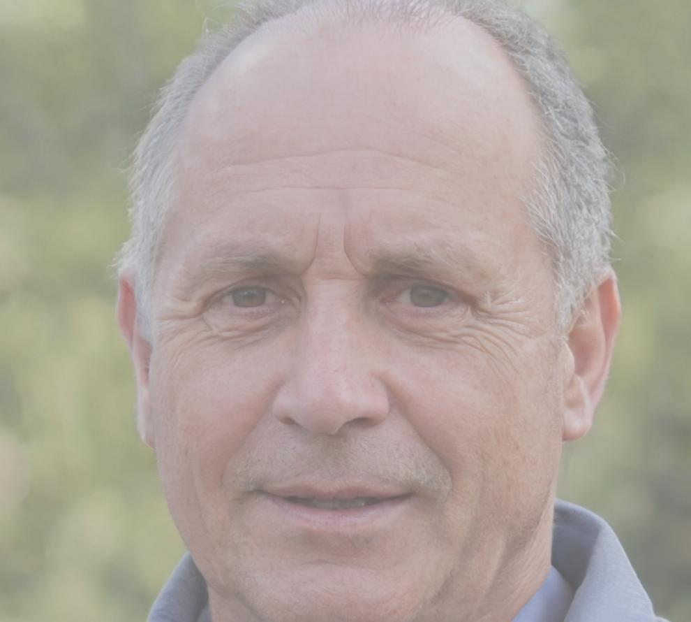 Carlos Mendoza, Analista Financiero Senior
